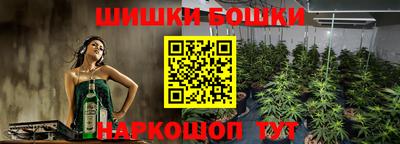 Альфа ПВП Обь