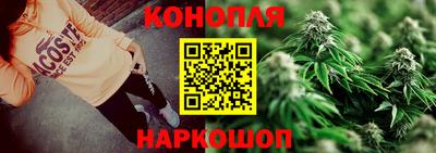 Альфа ПВП Обь